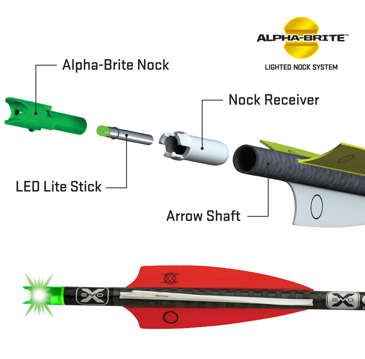 Alpha-Brite Lighted Nock System (.297)