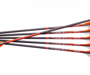Ravin Arrows 400Gr. 6Pk .003
