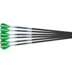 Excalibur Proflight 20-inch Bolts (6 Pack)